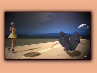 umbrella.jpg