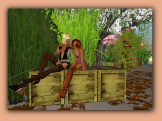 viv_018.jpg